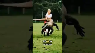 Giant Lizard Attack A sheep and What happened 🐏