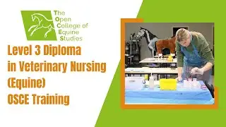 Level 3 Diploma in Veterinary Nursing (Equine) OSCE Training