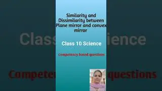 Similarity and Dissimilarity between Plane mirror and convex mirror #shortsfeed #class10science