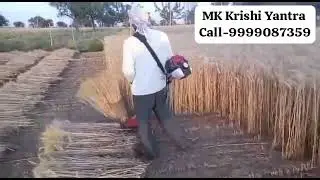 🌾 गेहूं काटने की मशीन | Brush Cutter for Wheat Harvesting | MK Krishi Yantra #Bijnor #farming #wheat
