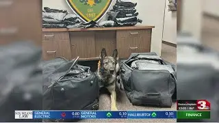 Deputy and K9 Astra achieve major drug busts in Clay County