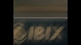 Dimostrazione trattamento legno IBIX Problaster 9
