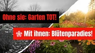 Ohne diese 12 Sp&auml;tbl&uuml;her ist dein Garten im Herbst tot &ndash; mit ihnen wird er zum Bl&uuml;tenparadies!