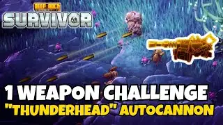 1 WEAPON CHALLENGE &ndash; 
