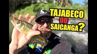 Tajabeco ou Saicanga? Pescaria com Ultra Light #pescaria #pesca