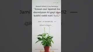 Roman urdu hadees #shorts #youtubeshorts