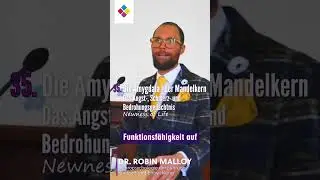 Der Mandelkern [Amygdala]: Das Angst-, Schmerz- und Bedrohungsged&auml;chtnis