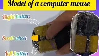 How to make a model of a computer mouse/model of a computer mouse/project on computer mouse#mouse
