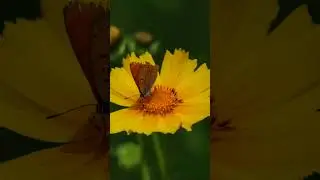 От Иоанна 10:22-29