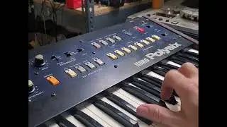 korg polysix (+Ecoplate II) demonstration