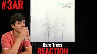 Fleetwood Mac - Bare Trees