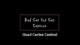 Neural DSP Quad Cortex Control - Bad Cat (Hot Cat) Capture
