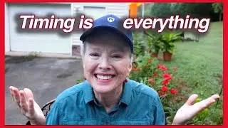 How is the THREE SISTERS METHOD working? July garden update Part 1