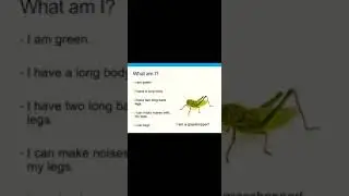 Simple English - I am a Grasshopper !