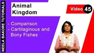 Animal Kingdom | NEET | Comparison - Cartilaginous and Bony Fishes | Neela Bakore Tutorials