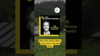 Бокал солнечного вина, кто желает?