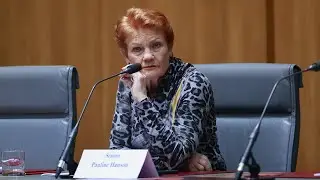 &lsquo;Not good enough&rsquo;: Hanson claims Palestinians seeking refuge not given security checks