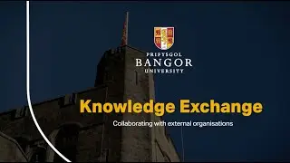 Knowledge Exchange &ndash; Haia Ltd