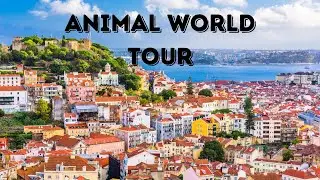 Animal World Tour: Discovering The Fauna Of Portugal !