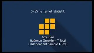 SPSS-22 Bağımsız Örneklem T Testi