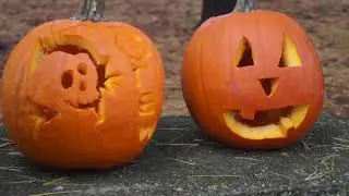 Abington Celebrates; Oktoberfest 2019