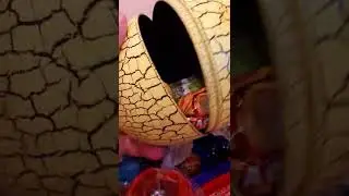 Dinosaur egg with toy & sweets - Opening ASMR #shorts