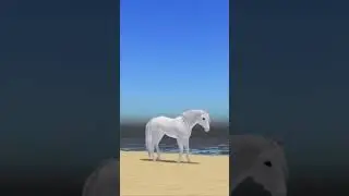 I Love Glitched Appaloosas So Much Now - Wild Horse Islands