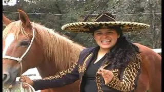 Con Voz de Mando