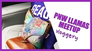 Видеоблог о встрече планировщиков | PNW Llamas