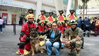 ESTUVIMOS en REFORMA 222 para el SIMULACRO NACIONAL 2025 por el #19s  🏢 👷&zwj;♂️ 
