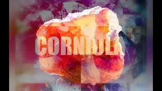 Cristalloterapia:  CORNIOLA e SECONDO CHAKRA