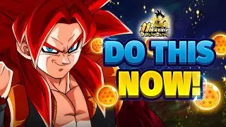 TONS OF IMPORTANT ITEMS! MAKE SURE YOU TAKE ADVANTAGE OF THIS IN DOKKAN! | DBZ: Dokkan Battle