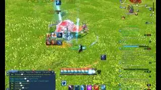 Blade & Soul, Force Master Ice Build