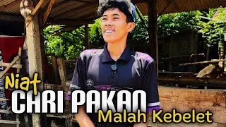 Disaat Mbah kakung tidak dirumah #oscarfarm 