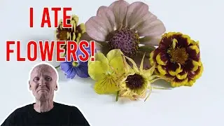 Eating flowers for the first time