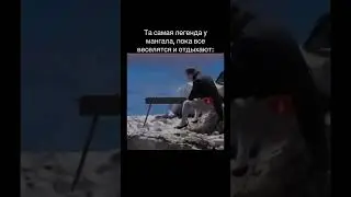 Подпишись пожалуйста #shortvideo #юмор #мемас #жиза