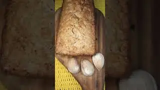 pan dulce de araucaria australiana 🌰 (pi&ntilde;a, pino, pi&ntilde;ones) &ndash; bidwillii / bunya cake / sweet bread