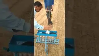 Pyaz ki nursery karne ki seed drill