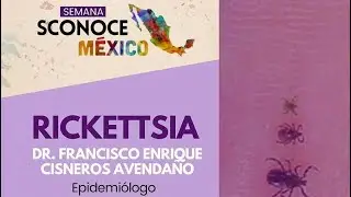 RICKETTSIA Dr. Francisco Cisneros