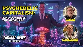 Psychedelics, Consciousness & Cultural Shifts | Joe Dolce &ndash; LIMINAL NEWS #64 #liminalnews