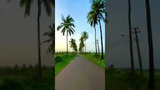 GOA!❤️ #goa #travel #viral #vlog #shortsfeed #song #trending