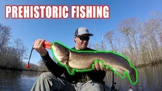 Catching a PREHISTORIC GIANT on Light Tackle | HOBIE Kayak Fishing | Bob's Fishing Hole