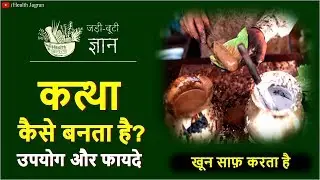 कत्था बनाने का तरीका | Benefits & Uses | Catechu Making Process | paan wala kattha kaise banta hai?