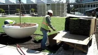 Cart as Aid in Planting Etera SEDUM TILES.AVI