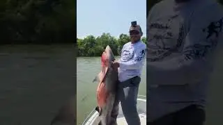 sharks in trinity river.