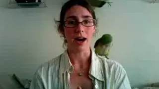 Feathers, Moulting, and Allopreening