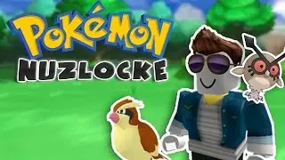 HARDEST CHALLENGE YET?! - Brick Bronze Nuzlocke #3 [ItsBear]