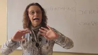 Derecho internacional privado | Clases Virtuales de Nuevo Derecho