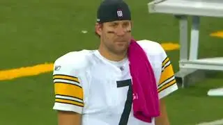 Pittsburgh Steelers: 2009 NFL Season Highlights