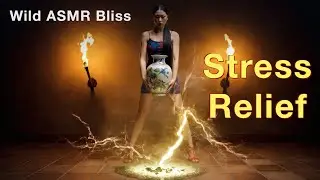 Vase Shatter Bloom: Mystic ASMR Surge | 花瓶の破壊と開花：神秘的なASMRうねり | 꽃병 파괴와 개화: 신비로운 ASMR 파동
